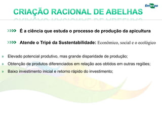 É a ciência que estuda o processo de produção da apicultura

          Atende o Tripé da Sustentabilidade: Econômico, social e o ecológico


» Elevado potencial produtivo, mas grande disparidade de produção;
» Obtenção de produtos diferenciados em relação aos obtidos em outras regiões;
» Baixo investimento inicial e retorno rápido do investimento;
 