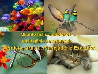 Quanto mais complexos ... mais gênio se requer do Cientista, Artista, Planejador e Executor!