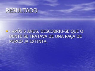 RESULTADO
• - APÓS 5 ANOS, DESCOBRIU-SE QUE O
DENTE SE TRATAVA DE UMA RAÇA DE
PORCO JÁ EXTINTA.
 