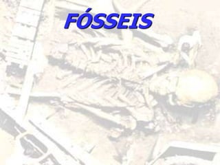 FÓSSEIS
 