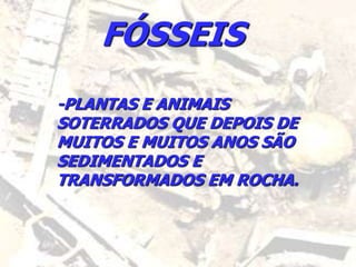 FÓSSEIS
-PLANTAS E ANIMAIS
SOTERRADOS QUE DEPOIS DE
MUITOS E MUITOS ANOS SÃO
SEDIMENTADOS E
TRANSFORMADOS EM ROCHA.
 