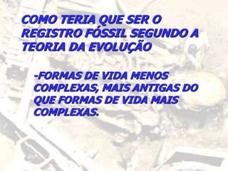 COMO TERIA QUE SER O
REGISTRO FÓSSIL SEGUNDO A
TEORIA DA EVOLUÇÃO
-FORMAS DE VIDA MENOS
COMPLEXAS, MAIS ANTIGAS DO
QUE FORMAS DE VIDA MAIS
COMPLEXAS.
 