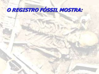 O REGISTRO FÓSSIL MOSTRA:
 