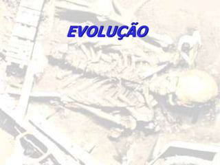 EVOLUÇÃO
 
