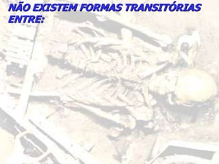NÃO EXISTEM FORMAS TRANSITÓRIAS
ENTRE:
 