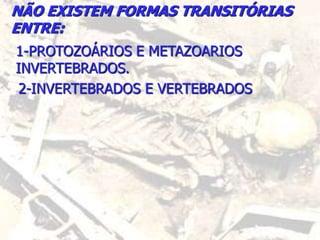 NÃO EXISTEM FORMAS TRANSITÓRIAS
ENTRE:
1-PROTOZOÁRIOS E METAZOARIOS
INVERTEBRADOS.
2-INVERTEBRADOS E VERTEBRADOS
 