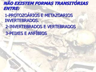 NÃO EXISTEM FORMAS TRANSITÓRIAS
ENTRE:
1-PROTOZOÁRIOS E METAZOARIOS
INVERTEBRADOS.
2-INVERTEBRADOS E VERTEBRADOS
3-PEIXES E ANFÍBIOS
 