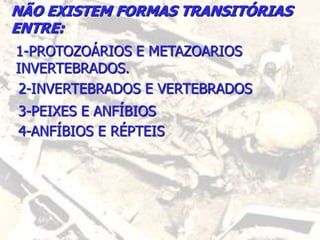 NÃO EXISTEM FORMAS TRANSITÓRIAS
ENTRE:
1-PROTOZOÁRIOS E METAZOARIOS
INVERTEBRADOS.
2-INVERTEBRADOS E VERTEBRADOS
3-PEIXES E ANFÍBIOS
4-ANFÍBIOS E RÉPTEIS
 