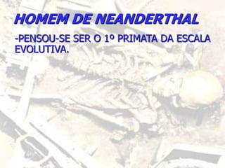 HOMEM DE NEANDERTHAL
-PENSOU-SE SER O 1º PRIMATA DA ESCALA
EVOLUTIVA.
 