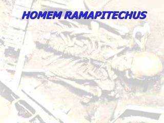 HOMEM RAMAPITECHUS
 