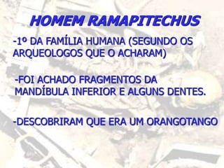 HOMEM RAMAPITECHUS
-1º DA FAMÍLIA HUMANA (SEGUNDO OS
ARQUEOLOGOS QUE O ACHARAM)
-FOI ACHADO FRAGMENTOS DA
MANDÍBULA INFERIOR E ALGUNS DENTES.
-DESCOBRIRAM QUE ERA UM ORANGOTANGO
 