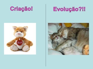 Criação x evolução