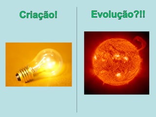 Criação x evolução