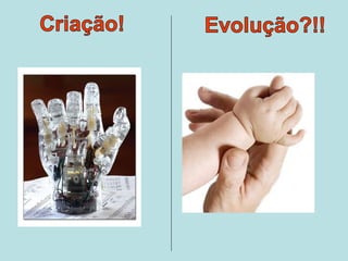 Criação x evolução