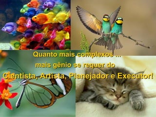 Quanto mais complexos ...Quanto mais complexos ...
mais gênio se requer domais gênio se requer do
Cientista, Artista, Planejador e Executor!Cientista, Artista, Planejador e Executor!
 