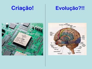 Criação! Evolução?!!
 