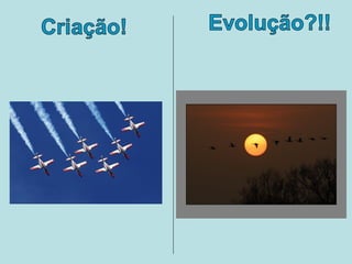 Criação x evolução