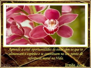 Aprende a criar oportunidades de estar com os que te alimentam o espírito e se constituem no teu ponto de referência moral na Vida. Irmão José. 