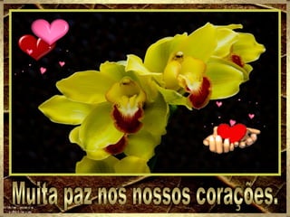 Muita paz nos nossos corações. 