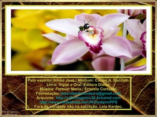 Pelo espírito: Irmão José./ Médium: Carlos A. Baccelli. Livro: Vigiai e Orai. Editora Didier. Música: Forever Maria./ Ernesto Cortazar. Formatação:  [email_address] Arquivos:  http://robertogenio38.4shared.com http://www.slideshare.net/JRCordeiroPPS Fora da caridade não há salvação. Leia Kardec. 