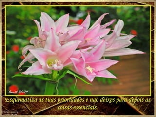 Esquematiza as tuas prioridades e não deixes para depois as coisas essenciais. 