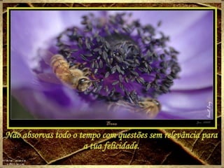 Não absorvas todo o tempo com questões sem relevância para a tua felicidade. 