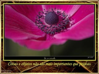 Coisas e objetos não são mais importantes que pessoas. 