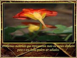 Problemas materiais que representam mais ou menos dinheiro para o teu bolso podem ser adiados. 