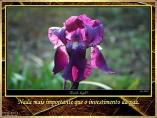 Nada mais importante que o investimento da paz. 