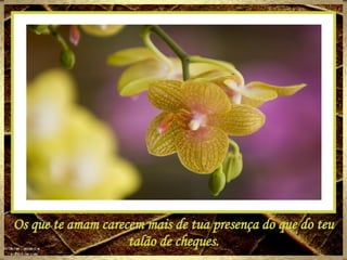 Os que te amam carecem mais de tua presença do que do teu talão de cheques. 