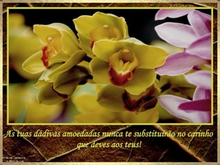 As tuas dádivas amoedadas nunca te substituirão no carinho que deves aos teus! 