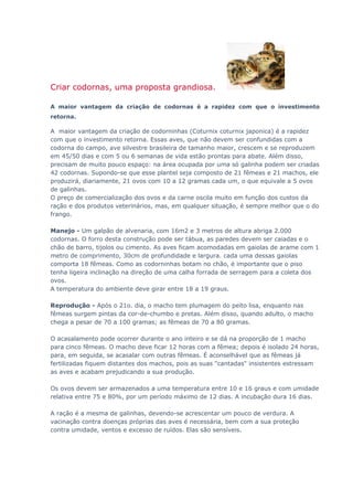 Criar codornas, uma proposta grandiosa.
A maior vantagem da criação de codornas é a rapidez com que o investimento
retorna.
A maior vantagem da criação de codorninhas (Coturnix coturnix japonica) é a rapidez
com que o investimento retorna. Essas aves, que não devem ser confundidas com a
codorna do campo, ave silvestre brasileira de tamanho maior, crescem e se reproduzem
em 45/50 dias e com 5 ou 6 semanas de vida estão prontas para abate. Além disso,
precisam de muito pouco espaço: na área ocupada por uma só galinha podem ser criadas
42 codornas. Supondo-se que esse plantel seja composto de 21 fêmeas e 21 machos, ele
produzirá, diariamente, 21 ovos com 10 a 12 gramas cada um, o que equivale a 5 ovos
de galinhas.
O preço de comercialização dos ovos e da carne oscila muito em função dos custos da
ração e dos produtos veterinários, mas, em qualquer situação, é sempre melhor que o do
frango.
Manejo - Um galpão de alvenaria, com 16m2 e 3 metros de altura abriga 2.000
codornas. O forro desta construção pode ser tábua, as paredes devem ser caiadas e o
chão de barro, tijolos ou cimento. As aves ficam acomodadas em gaiolas de arame com 1
metro de comprimento, 30cm de profundidade e largura. cada uma dessas gaiolas
comporta 18 fêmeas. Como as codorninhas botam no chão, é importante que o piso
tenha ligeira inclinação na direção de uma calha forrada de serragem para a coleta dos
ovos.
A temperatura do ambiente deve girar entre 18 a 19 graus.
Reprodução - Após o 21o. dia, o macho tem plumagem do peito lisa, enquanto nas
fêmeas surgem pintas da cor-de-chumbo e pretas. Além disso, quando adulto, o macho
chega a pesar de 70 a 100 gramas; as fêmeas de 70 a 80 gramas.
O acasalamento pode ocorrer durante o ano inteiro e se dá na proporção de 1 macho
para cinco fêmeas. O macho deve ficar 12 horas com a fêmea; depois é isolado 24 horas,
para, em seguida, se acasalar com outras fêmeas. É aconselhável que as fêmeas já
fertilizadas fiquem distantes dos machos, pois as suas "cantadas" insistentes estressam
as aves e acabam prejudicando a sua produção.
Os ovos devem ser armazenados a uma temperatura entre 10 e 16 graus e com umidade
relativa entre 75 e 80%, por um período máximo de 12 dias. A incubação dura 16 dias.
A ração é a mesma de galinhas, devendo-se acrescentar um pouco de verdura. A
vacinação contra doenças próprias das aves é necessária, bem com a sua proteção
contra umidade, ventos e excesso de ruídos. Elas são sensíveis.
 