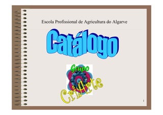 Escola Profissional de Agricultura do Algarve




                                                1