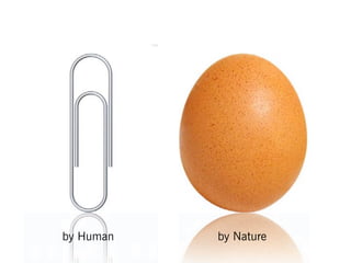 by Human   by Nature
 