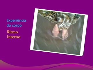 Experiência
do corpo
Ritmo
Interno
 