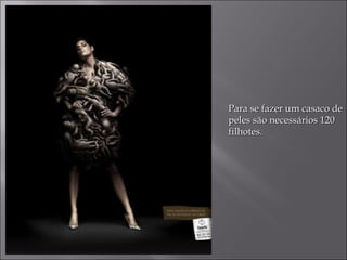 Para se fazer um casaco de peles são necessários 120 filhotes. 