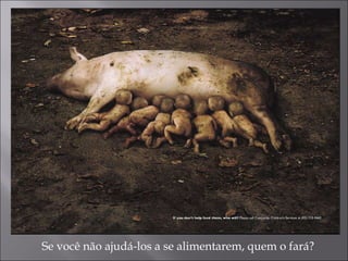 Se você não ajudá-los a se alimentarem, quem o fará? 