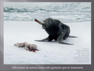 Não trates os outros como não gostaria que te tratassem. 