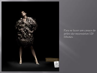 Para se fazer um casaco de
peles são necessários 120
filhotes.
 