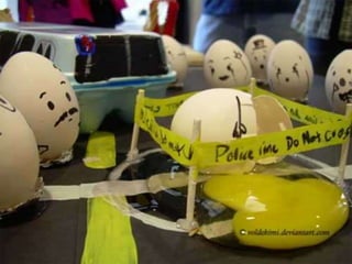 Criatividade Em Ovos