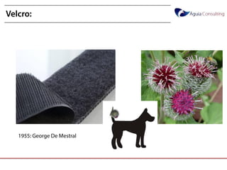 @annakguimarães
Velcro:
1955: George De Mestral
 