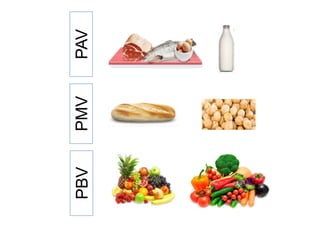 Productos
hipoproteicos
Alimentos
naturales
Contenido en Phe Contenido en proteínas
Alimentos
AVB MVB BVB
 