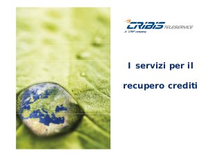 I servizi per il
recupero crediti
 