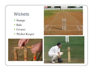 Wickets
  Stumps
  Bails
  Creases
  Wicket Keeper

 