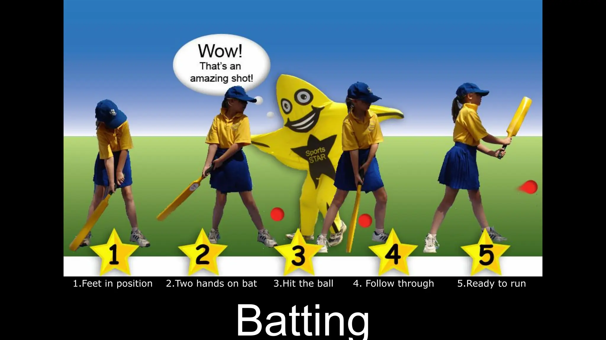 cricket-pdf