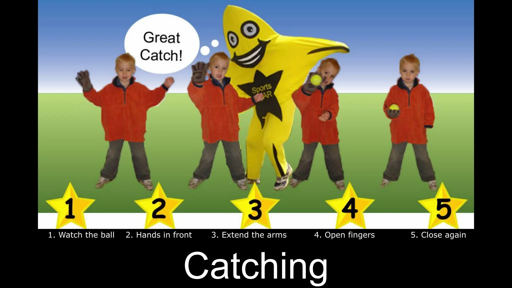 cricket-pdf