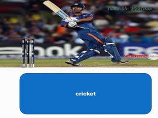 cricket
 