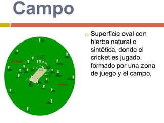CampoSuperficie oval con hierba natural o sintética, donde el cricket es jugado, formado por una zona de juego y el campo.