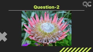 Question-2
 