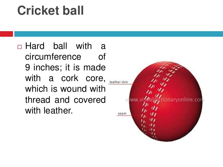 Cricket Visual Information 2º ESO Secciones